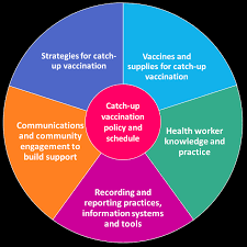 See the malaysia vaccinations schedule here. Https Www Who Int Immunization Programmes Systems Policies Strategies Who Catch Up Guidance Working Draft 11 08 20 Pdf