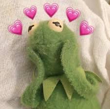 Pin On Momos No Tan Sad