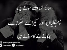 Funny brother and sister quotes in urdu. Funny Quotes About Brothers And Sisters Fighting In Urdu Daily Quotes