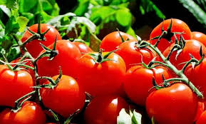 Wer abnehmen möchte, muss weder hungern noch auf genuss verzichten. Tomaten Diat Alle Infos Dazu Hier