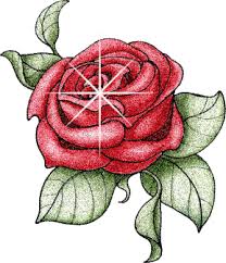 Mazzo di 100 rose rosse qualità extra. Rose Le Immagini Piu Belle Da Condividere E Donare Bgiorno It