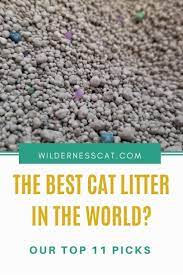The Best Cat Litter In The World 11 Best Cat Litters Of 2020 Best Cat Litter Cat Litter Pretty Litter