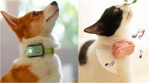 宠物专用“智能手机”面世跳3下自动接通主人还能共享视角