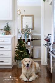 christmas kitchen decor it's a blue