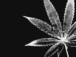 Enjoy and share your favorite beautiful hd wallpapers and background images. Stoner Quotes Black And White Quotesgram