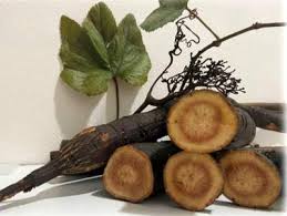 Image result for Ampelocissus