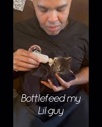 I was never a cat person or really an animal lover in general but that all  changed when I met this little guy. My partner and I adopted when him when  was two weeks old. The mother either abandoned her ...