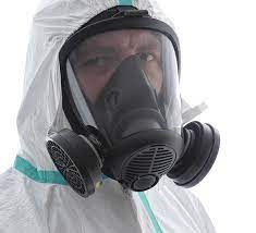Hire the best mold inspectors and testing services in miami, fl on homeadvisor. Miami Mold Specialists Water Damage Restoration Mold Experts Now