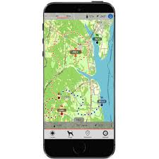 Quick Track Collars Yasserchemicals Com