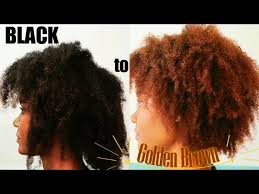 Below you will find 20 golden brown hair color ideas from warm reds to bronzy blonde and every gold variation there is. Black To Light Golden Brown How I Dyed My Hair Youtube
