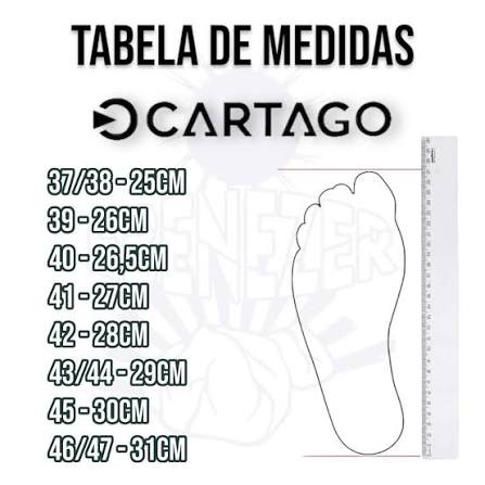 CHINELO CARTAGO DETROIT II - Ipa Calçados