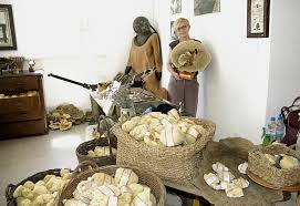 Image result for otok krapanj slike