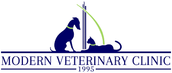 How much does it cost to own a cat? Pricing Modern Veterinary Clinic