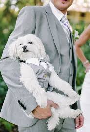 Real Weddings Wedding Pets Dog Wedding Outfits Couple Outfits