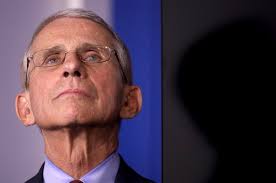 There's a Petition to Name Dr. Anthony Fauci the Sexiest Man Alive
