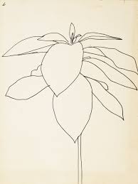 Ellsworth Kelly Lot Plant Drawing Drawings Art