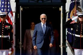 Image result for Bidens diversa