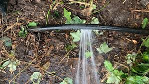 Repairing a garden hose with tape is faster and simpler than opting for other types of repair solutions, but the kinds of tape that most gardeners commonly have on hand. Case Study Repair Of A 80mm Split On A Pond Plastic Supply Hose