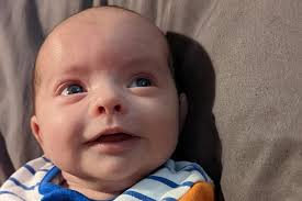 Festive babies and pets: 14 pictures of your new arrivals this Christmas  and New Year