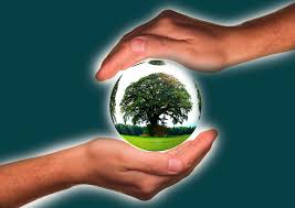 Mediante la fotosíntesis, los árboles brindan oxígeno a la vez que eliminan el dióxido de carbono (gracias a este proceso. La Importancia De Los Arboles Dia Mundial Del Arbol Pluma De Rio