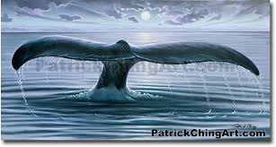 A birdbath fountain is more than a simple basin filled with water. Whale Tale In Moonlight Hawaii Fine Art Image By Hawaii S Nature Artist Patrick Ching Hawaii Artist Patrick Ching