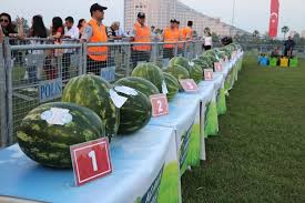 Pin De Juvenilson Santos Em Frutas Em 2020