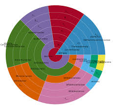 Hierarchic Pie Donut Chart From Pandas Dataframe Using Bokeh