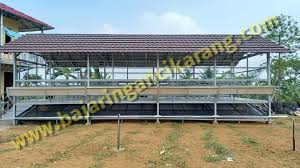 Lebar minimal yang bisa anda gunakan adalah 120 cm, panjang 150 cm, untuk 5 ekor ternak kambing. Kandang Domba Full Baja Ringan Baja Ringan Cikarang Facebook