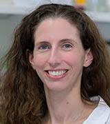 Meet 26 New Stadtman Investigators