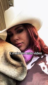 Que mula prefieres: divertido baile de mulas