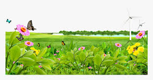 Maybe you would like to learn more about one of these? Meadow Lawn Wallpaper Lake Nature Background Png Hd Transparent Png Transparent Png Image Pngitem