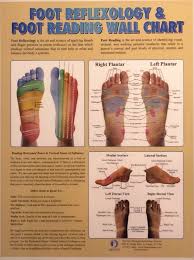 Foot Reflexology Foot Reading Wall Chart