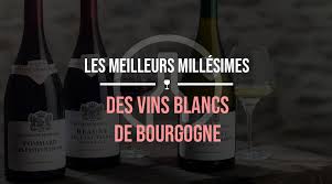 Un art qui se transmet gastronomie : Les Meilleurs Millesimes Des Vins Blancs De Bourgogne
