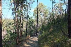 Glasshouse Bushwalkers Club Inc In 2020 Glass House National Parks Social Interaction