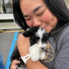 Tina Lai, who serves as Dr. Norman Waldrop's clinical & surgical  coordinator, is having an extra special National Athletic Training Month!  Today, Tina received her new puppy, Samson Oreo, aka Sammy O!