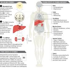 Office Of Dietary Supplements Vitamin D