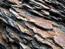 Image result