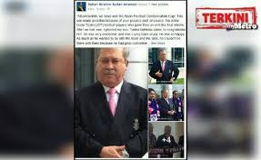 Sultan Ibrahim Johor Sultan Pavers