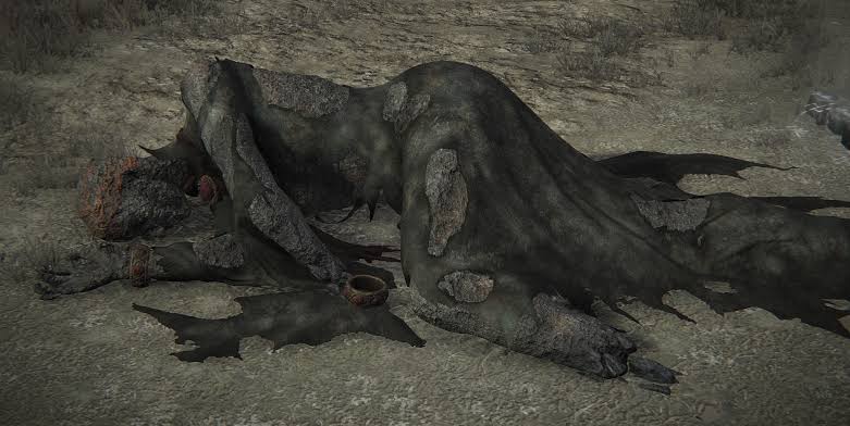 ranni's empyrean body : r/Eldenring