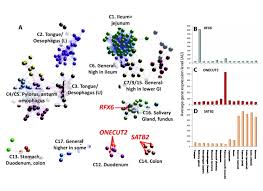 Check spelling or type a new query. A Gene Expression Atlas Of The Domestic Pig Bmc Biology Full Text