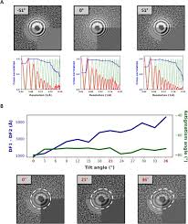 Particles that will pass through the nose and throat, reaching the lungs. Beam Image Shift Accelerated Data Acquisition For Near Atomic Resolution Single Particle Cryo Electron Tomography Biorxiv
