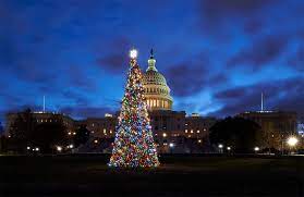 Fab finds in store.here today, gone tomorrow! 2020 Us Capitol Christmas Tree Will Come From Colorado