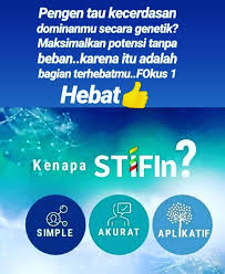 We did not find results for: Stifin Tanggal Lahir Masnurul
