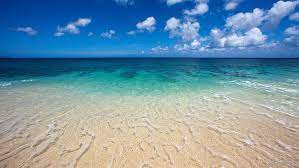 We did not find results for: Hd Wallpaper Ke Lki Beach Oahu Hawaii Beaches Wallpaper Flare