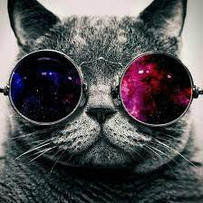 We did not find results for: Kata Wawasan Dalam Definisi Wawasan Nusantara Mengandung Arti Brainly Co Id