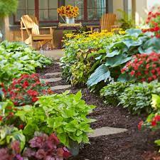 How To Read A Plant Tag For Planting Instructions Shade Garden Plants Garden Inspiration