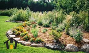 Check spelling or type a new query. 5 Awesomely Easy Landscaping Projects
