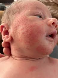 A daddy bear (?) holding his newborn