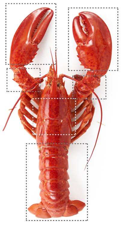 How to Eat Lobster | Seafood By Sykes