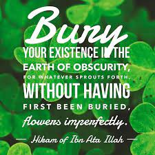Pin By Saajidamra Saajidamra On Ibn Ata Illah Askandari Quotes Earth Bury